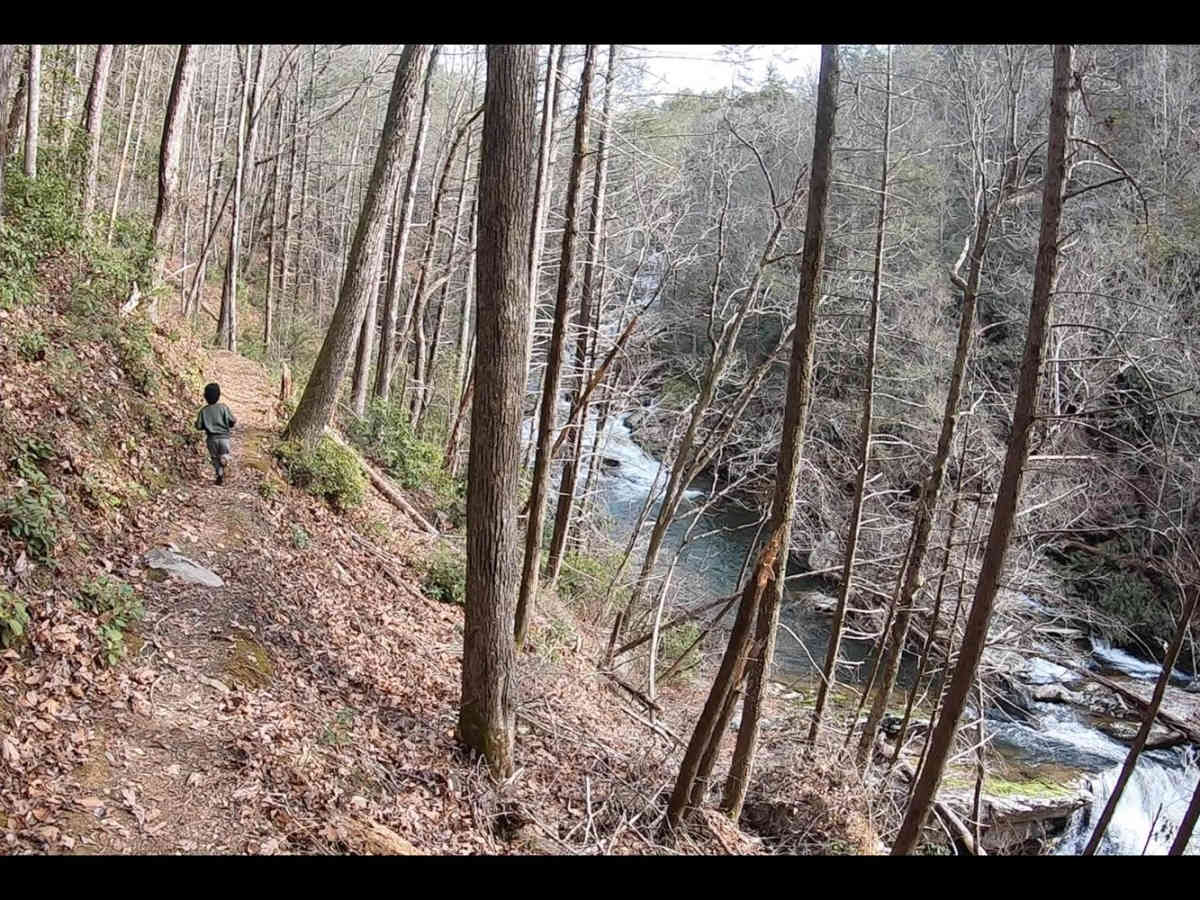 Coker Creek Falls photo 3