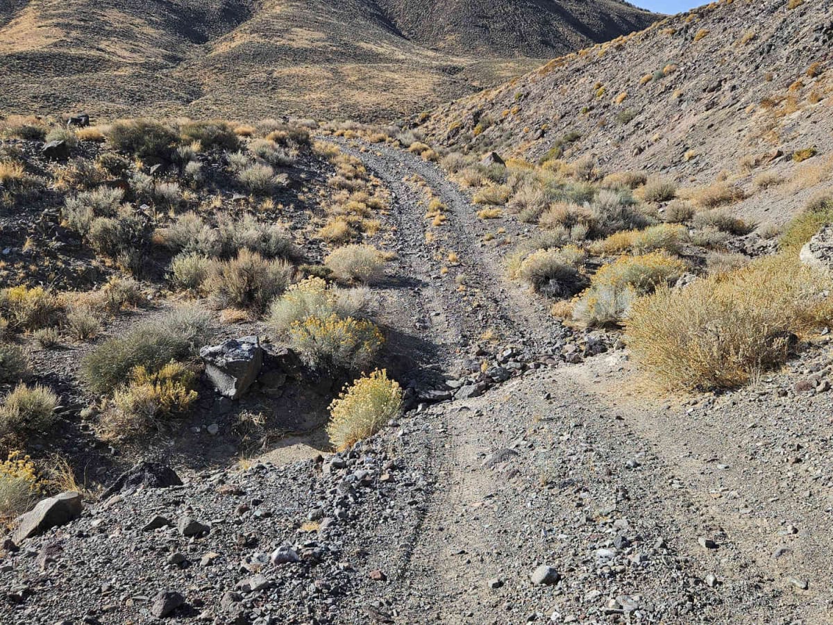 Rattlesnake Canyon trail photo