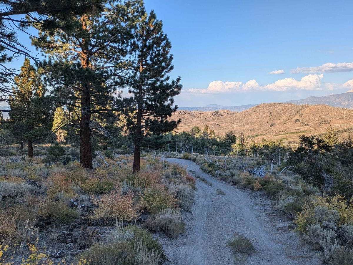 Glass Mountains Ridgeline Run photo 4