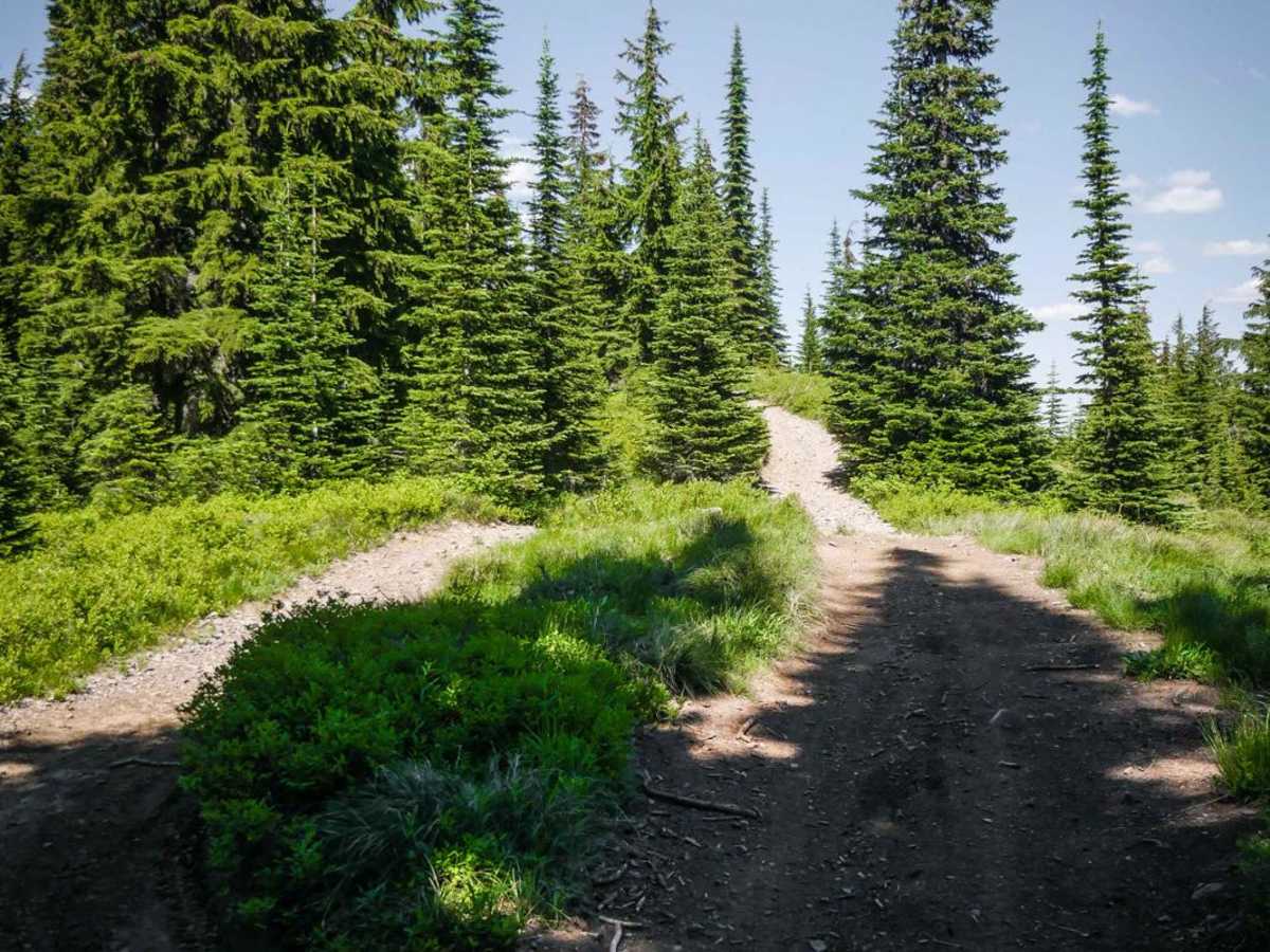 Striped Peak ATV photo 2