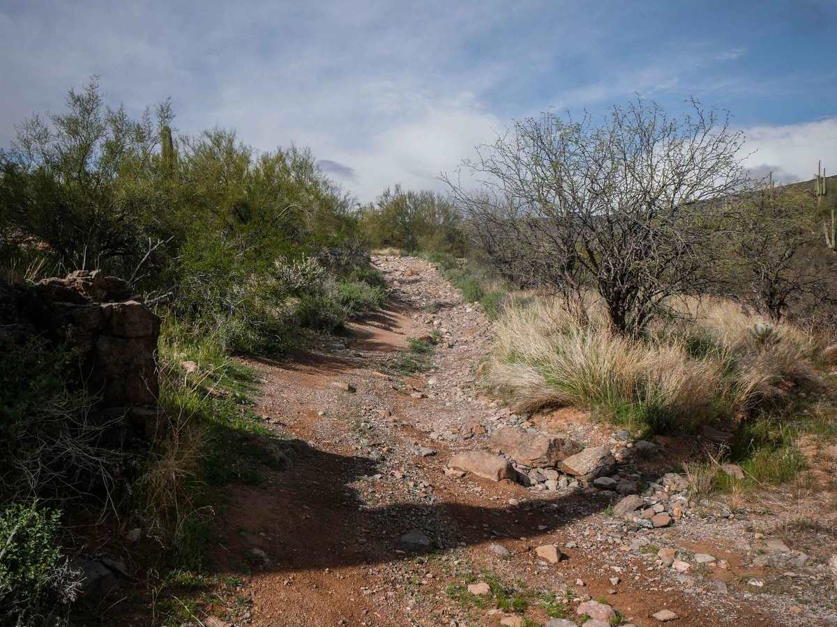 Shoemaker Spring photo 3