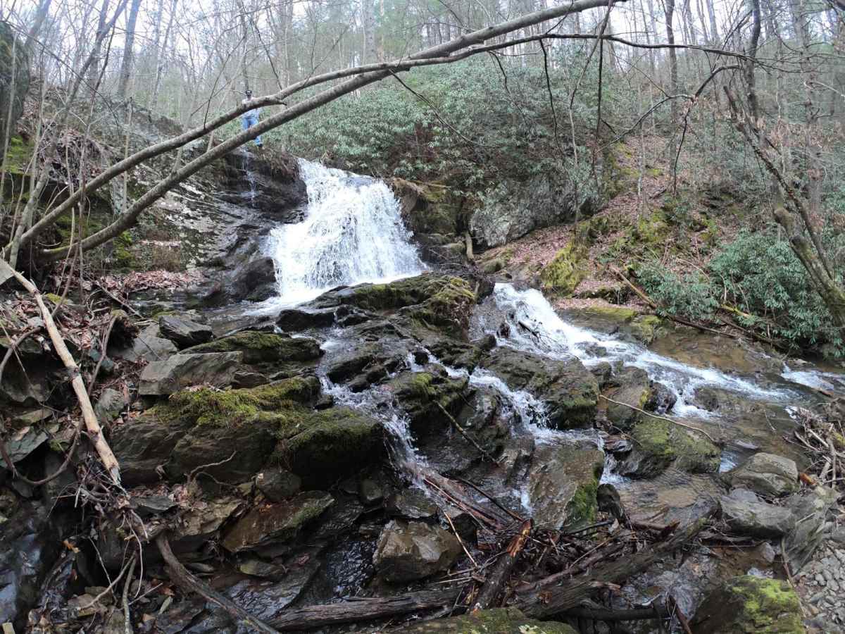 East Cowpen trail photo