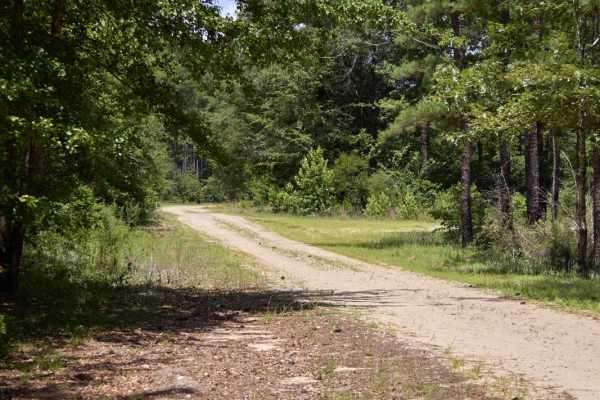 Inner Gregory Field Loop
