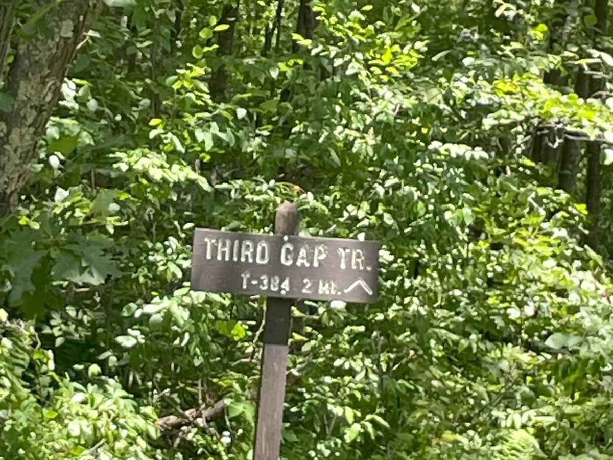 Fourth Gap Road photo 4