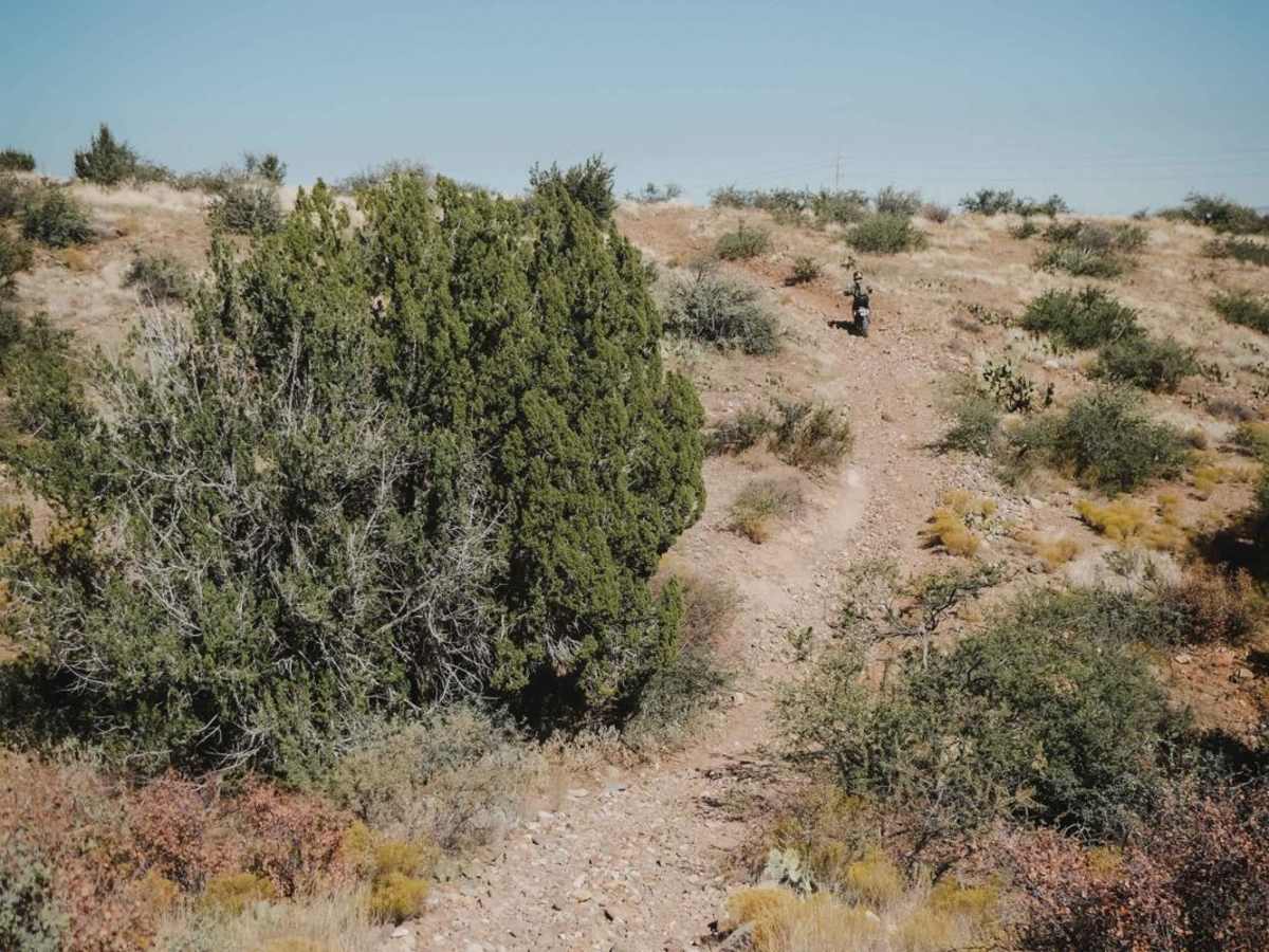 Camp Verde Trail #545 (North) trail photo