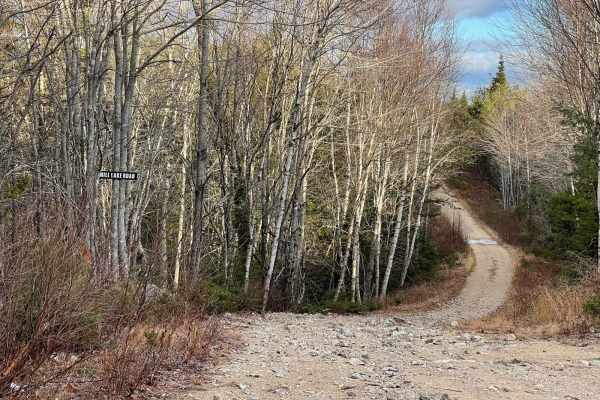 Mill Lake Road