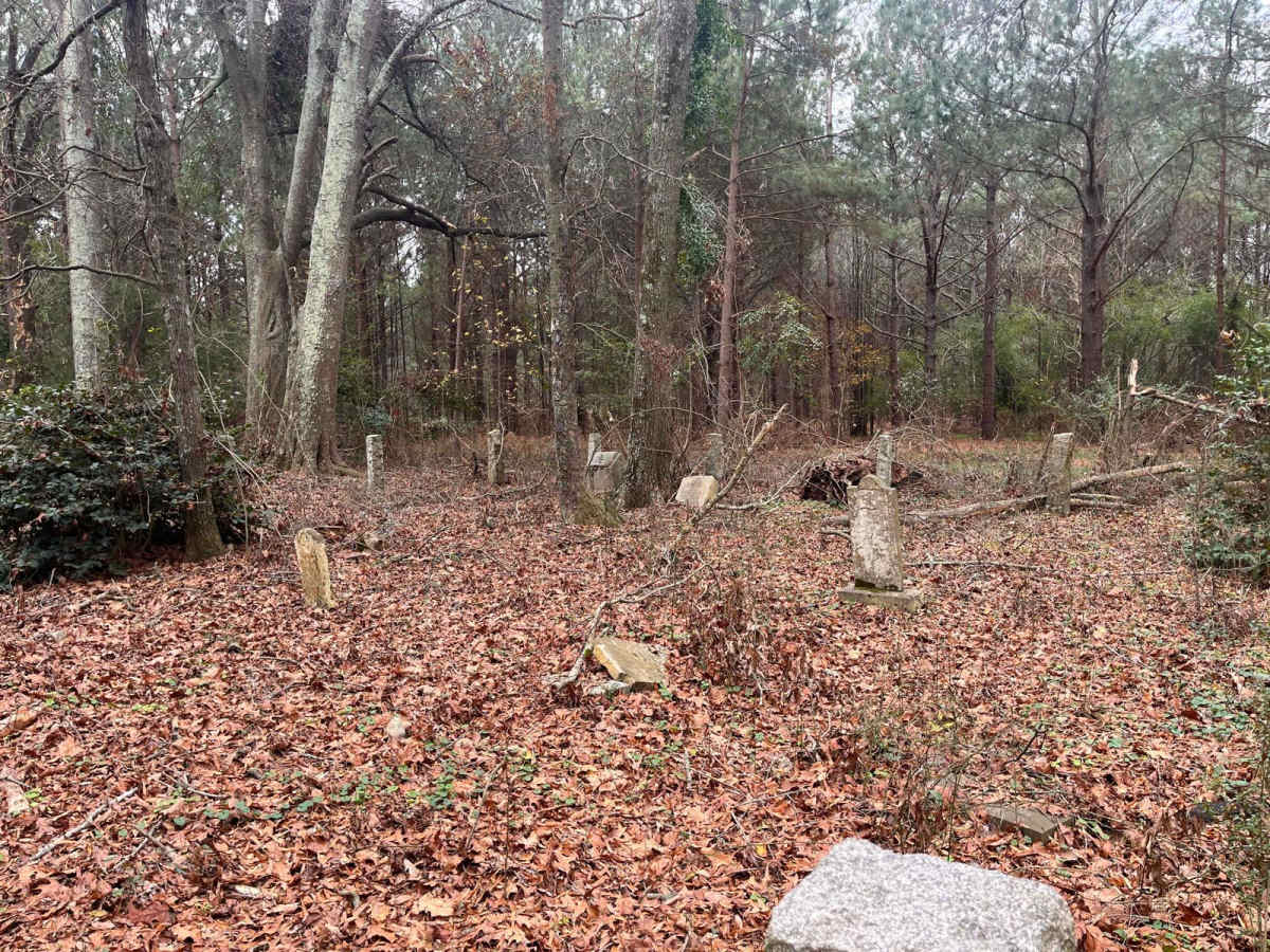 Old Charleston Road photo 6
