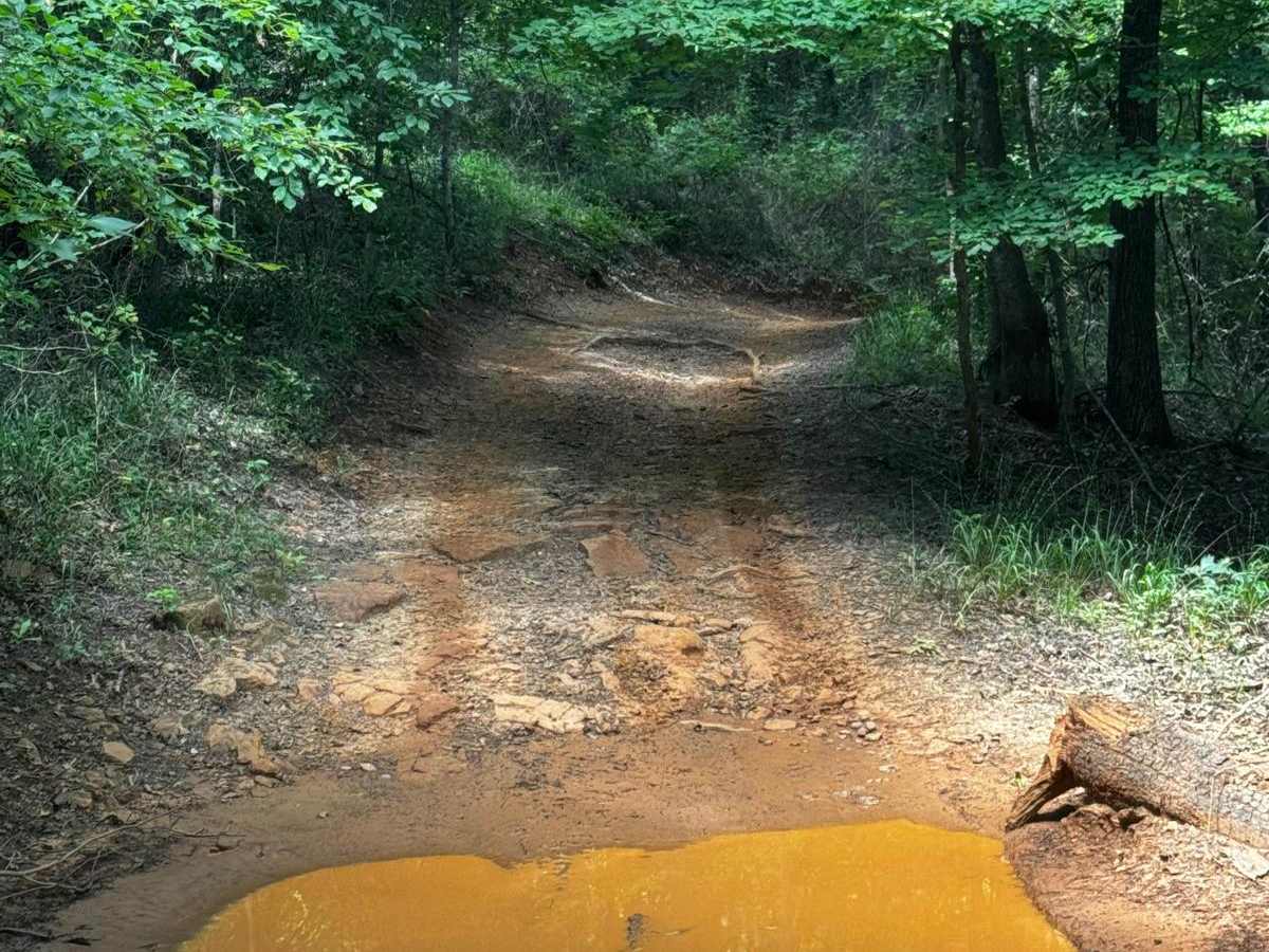 Pine Hill Run photo 3
