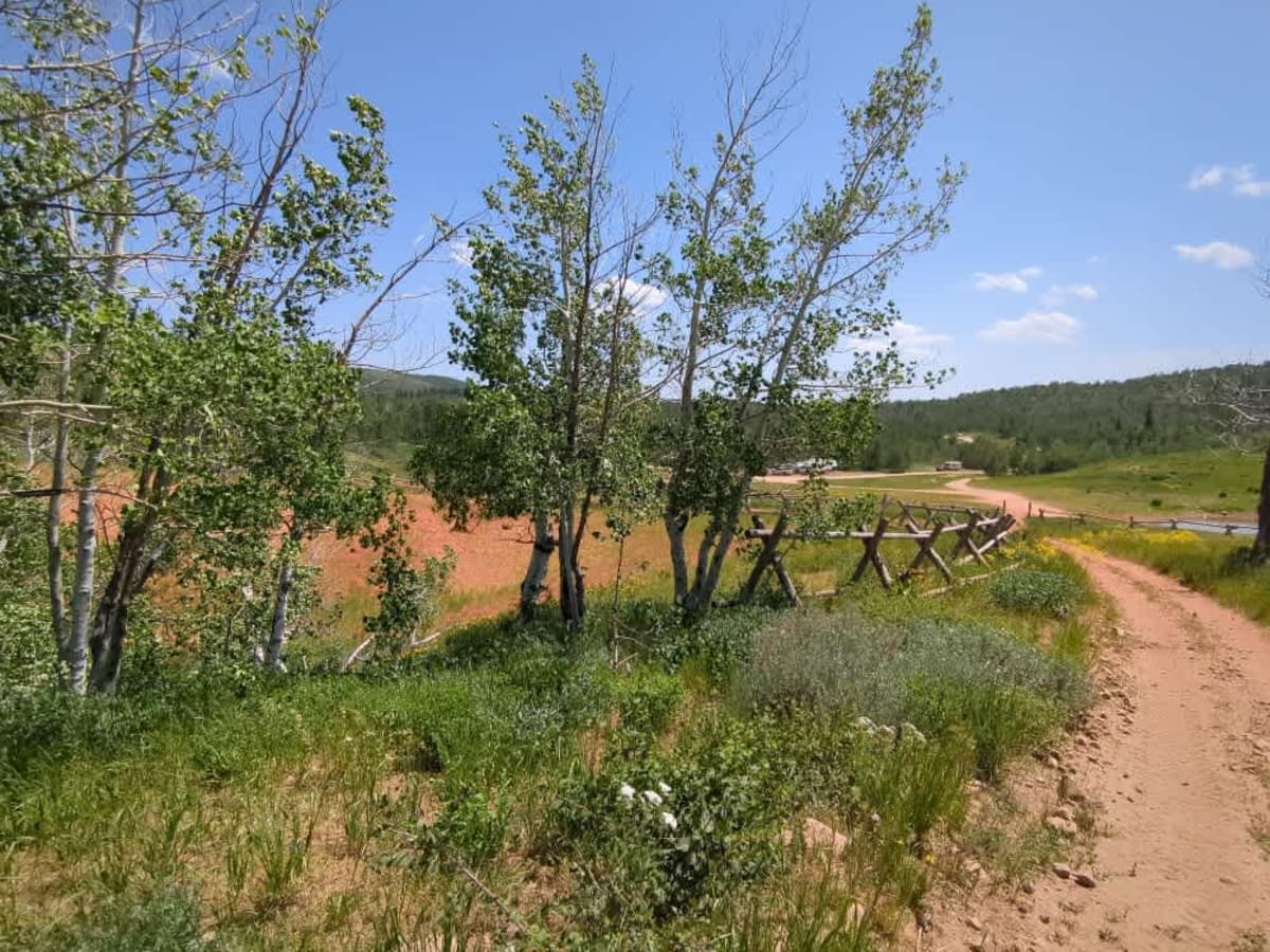Dry Bread Hollow ATV - FS 6324 photo 4