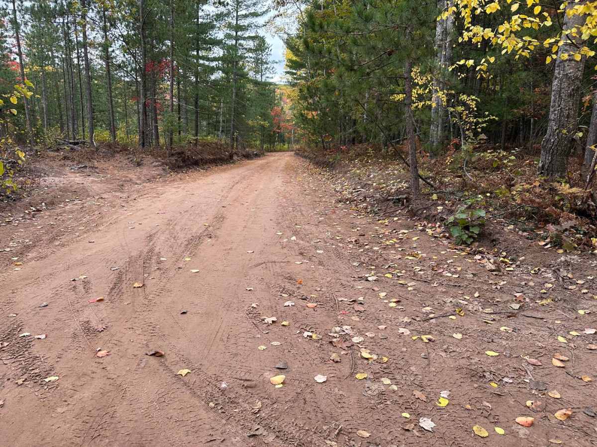 Forestville Road photo 3