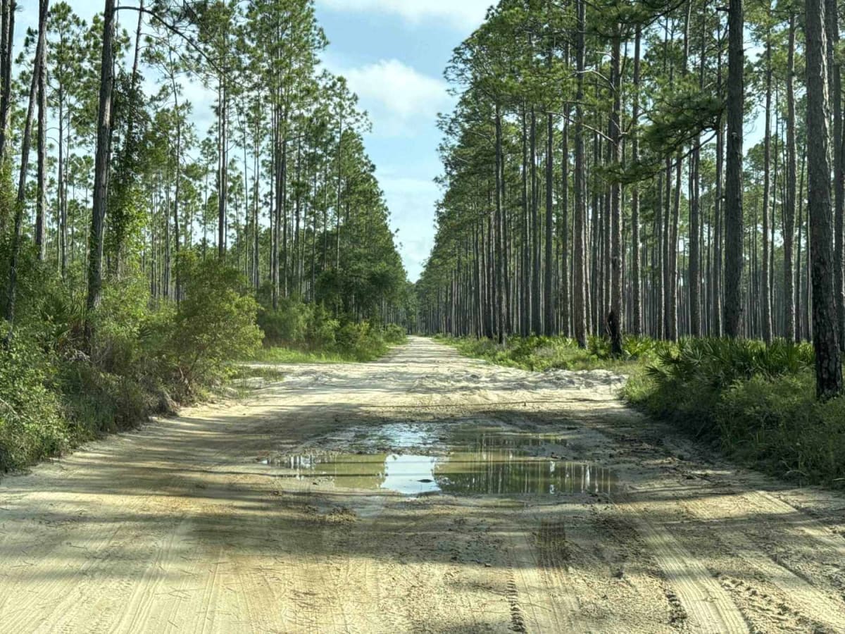 West River Road photo 4