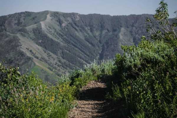 Howard's Trail