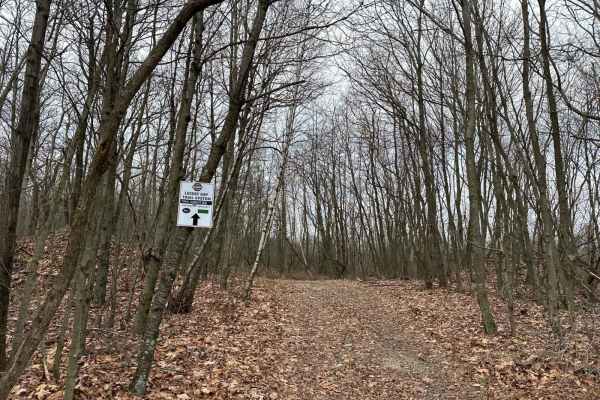 Locust Gap 66