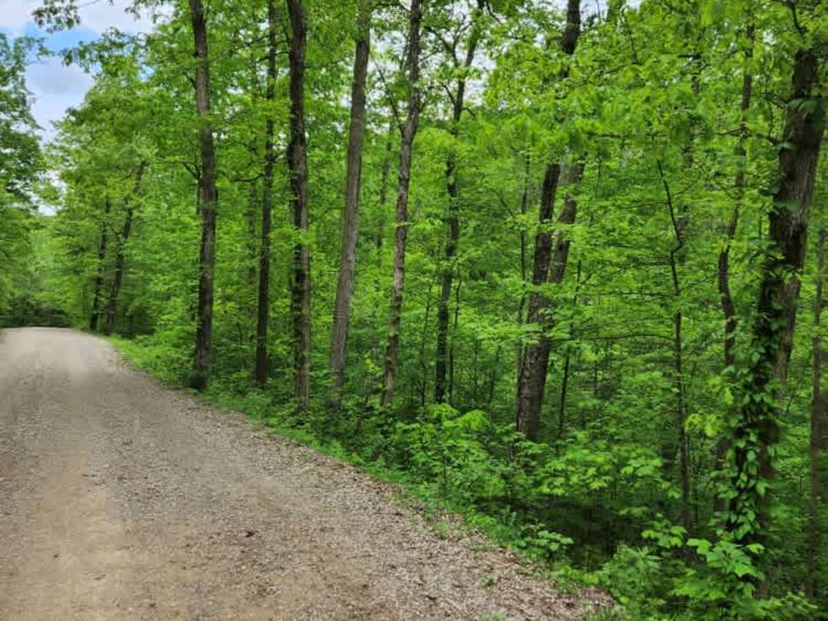 State Forest Road 14 photo 2