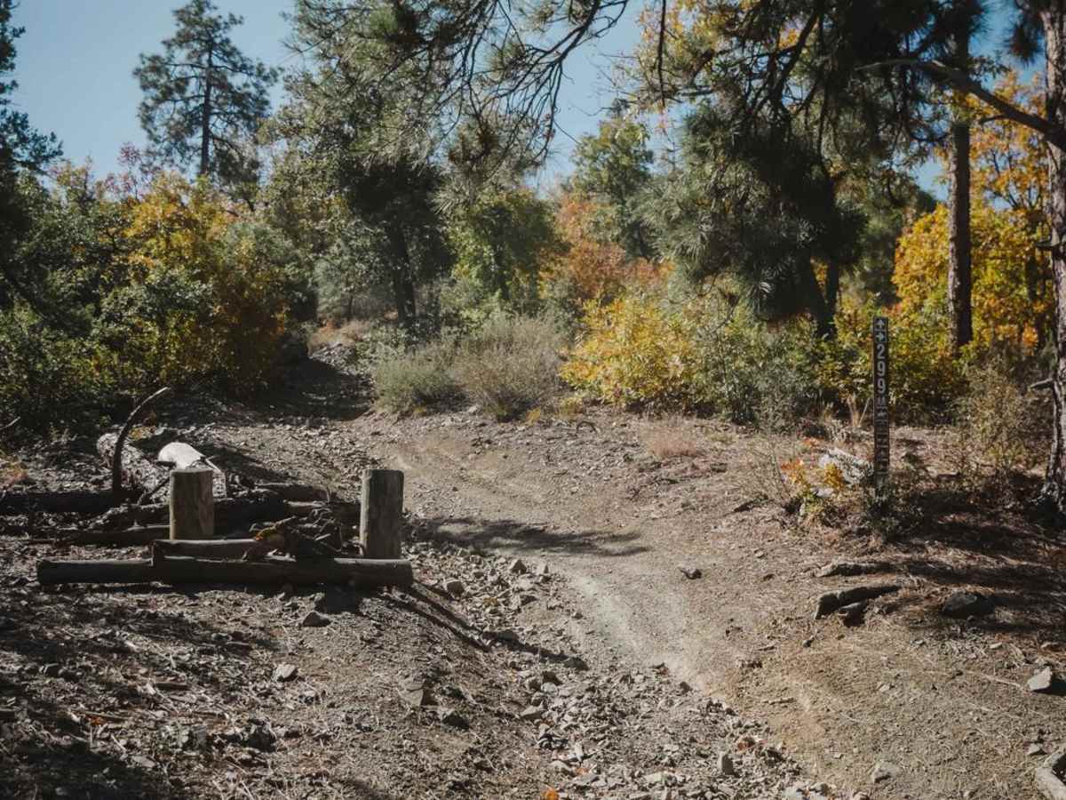 Watershed photo 3
