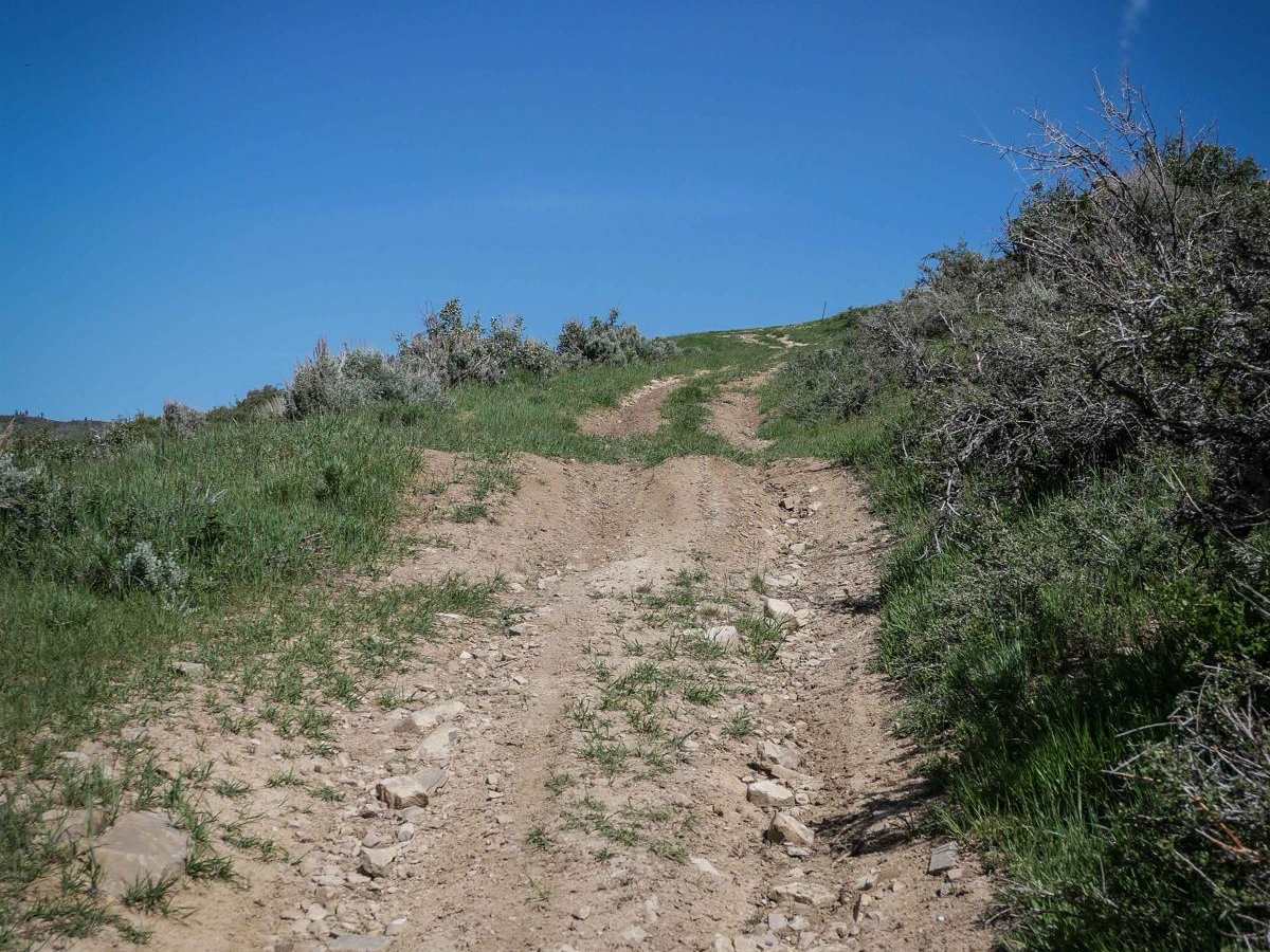 Sheep Creek Connector ATV Trail photo 5