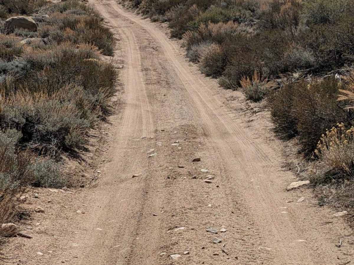 Upper Buttermilk  Road photo 4
