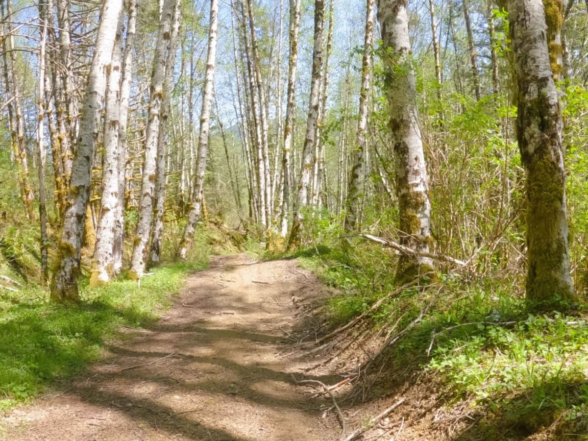 Zig Zag Trail photo 5