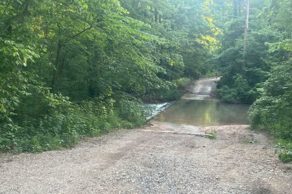 Dry Creek Branch  C - Forest Road 226C