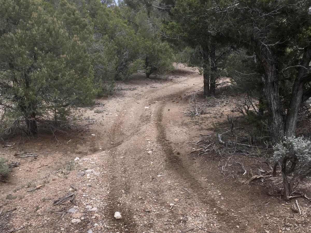 Legacy ATV Trail photo 3