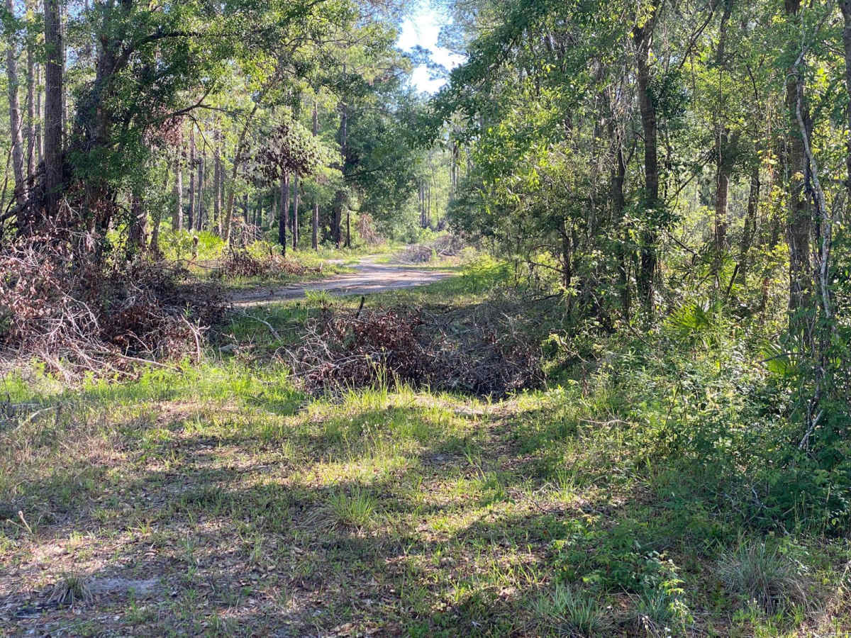 Pole Bridge Road photo 6