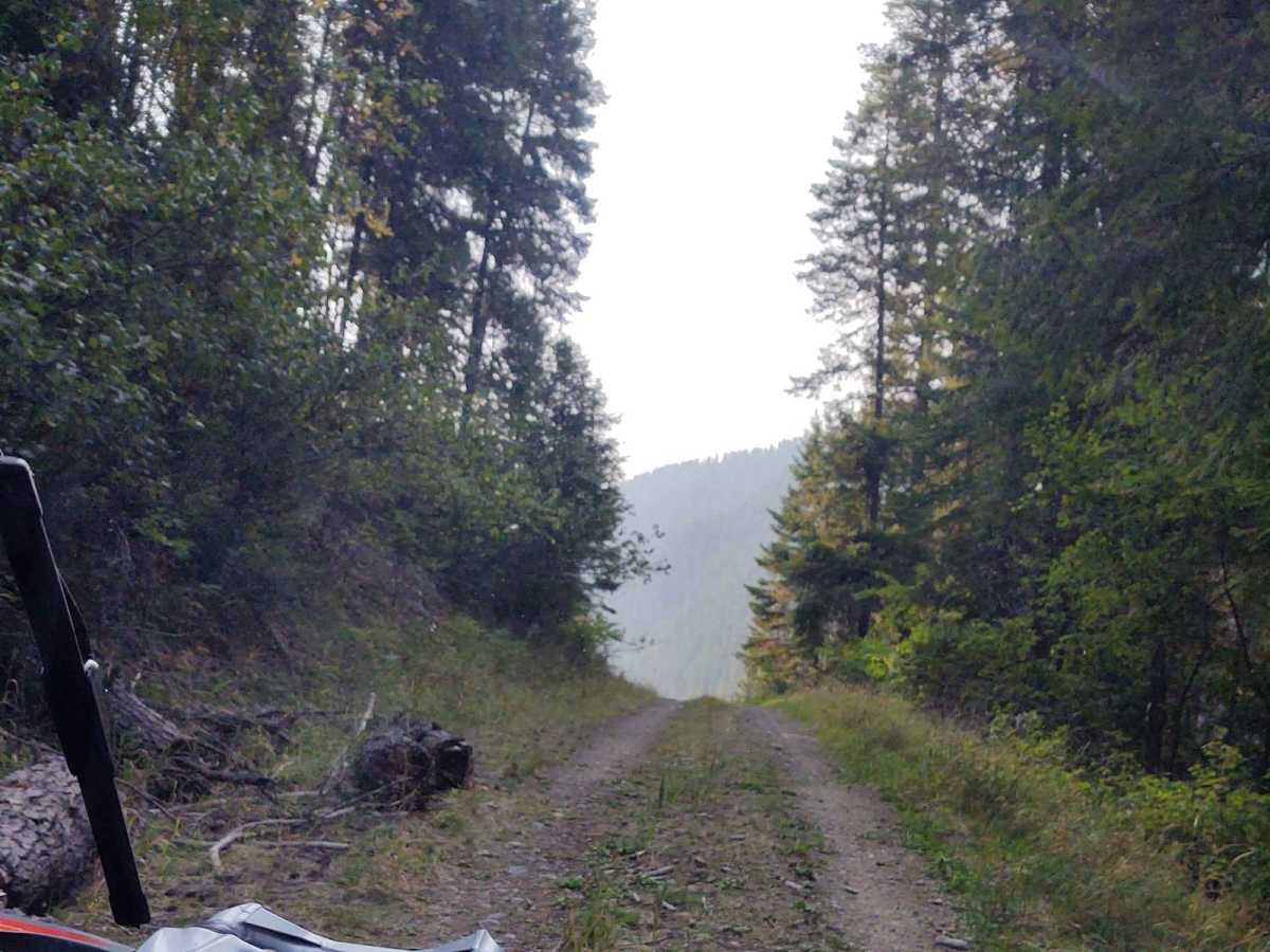 Clear Creek photo 3