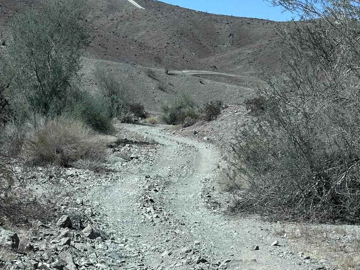 Ryan's Trail photo 4