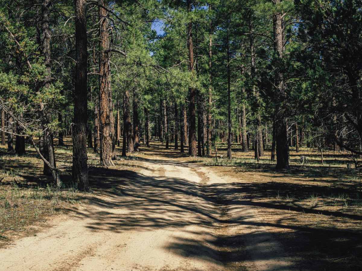 Hunter Hill Camp photo 2