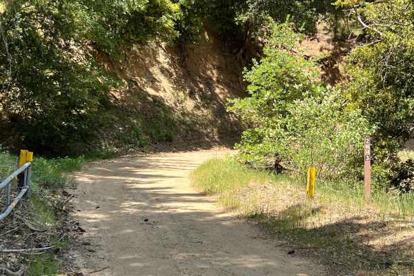 Sawpit Connector