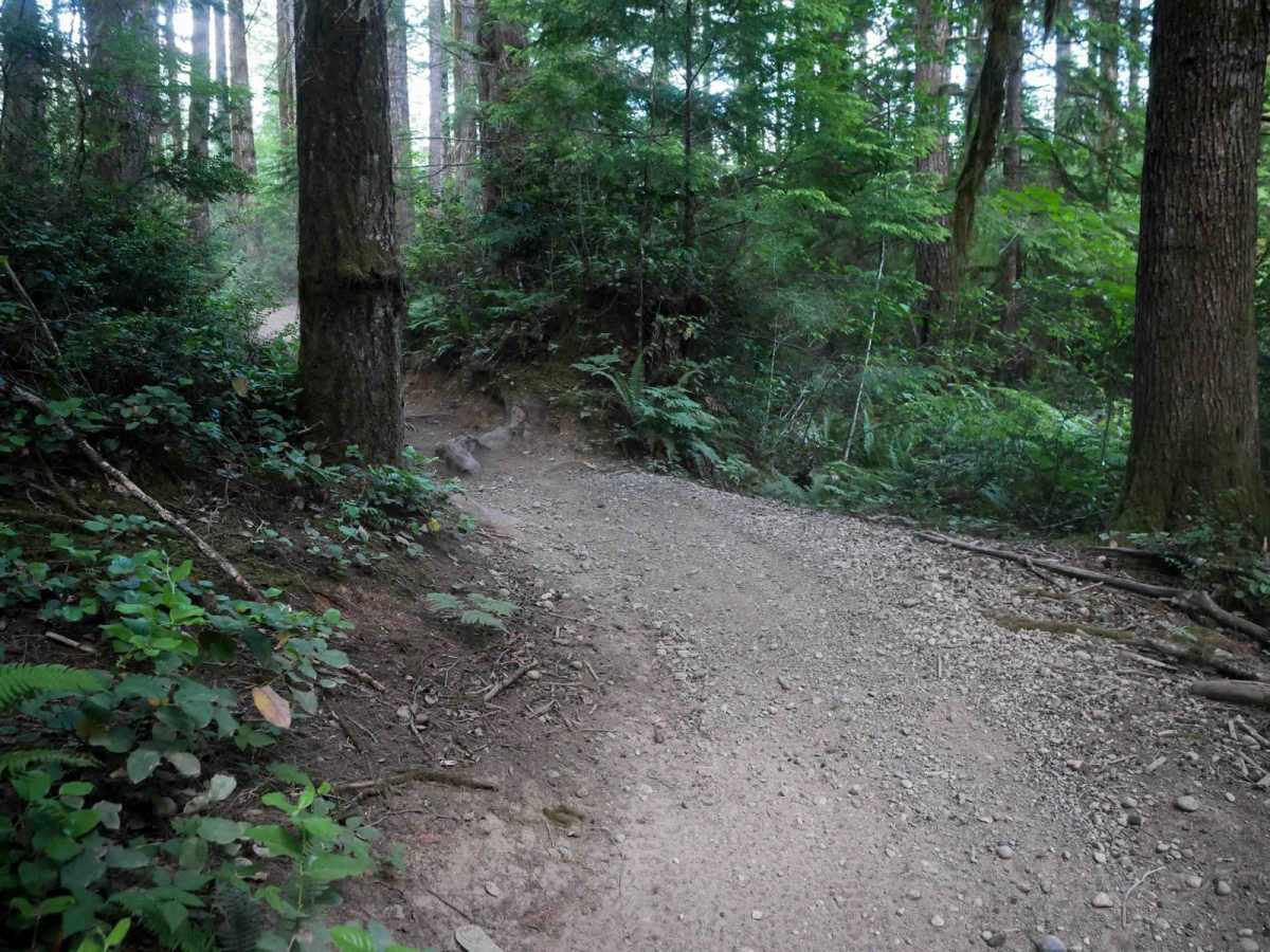 Howell Lake photo 5