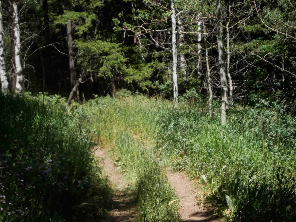 Slate Trail #3119  photo 6