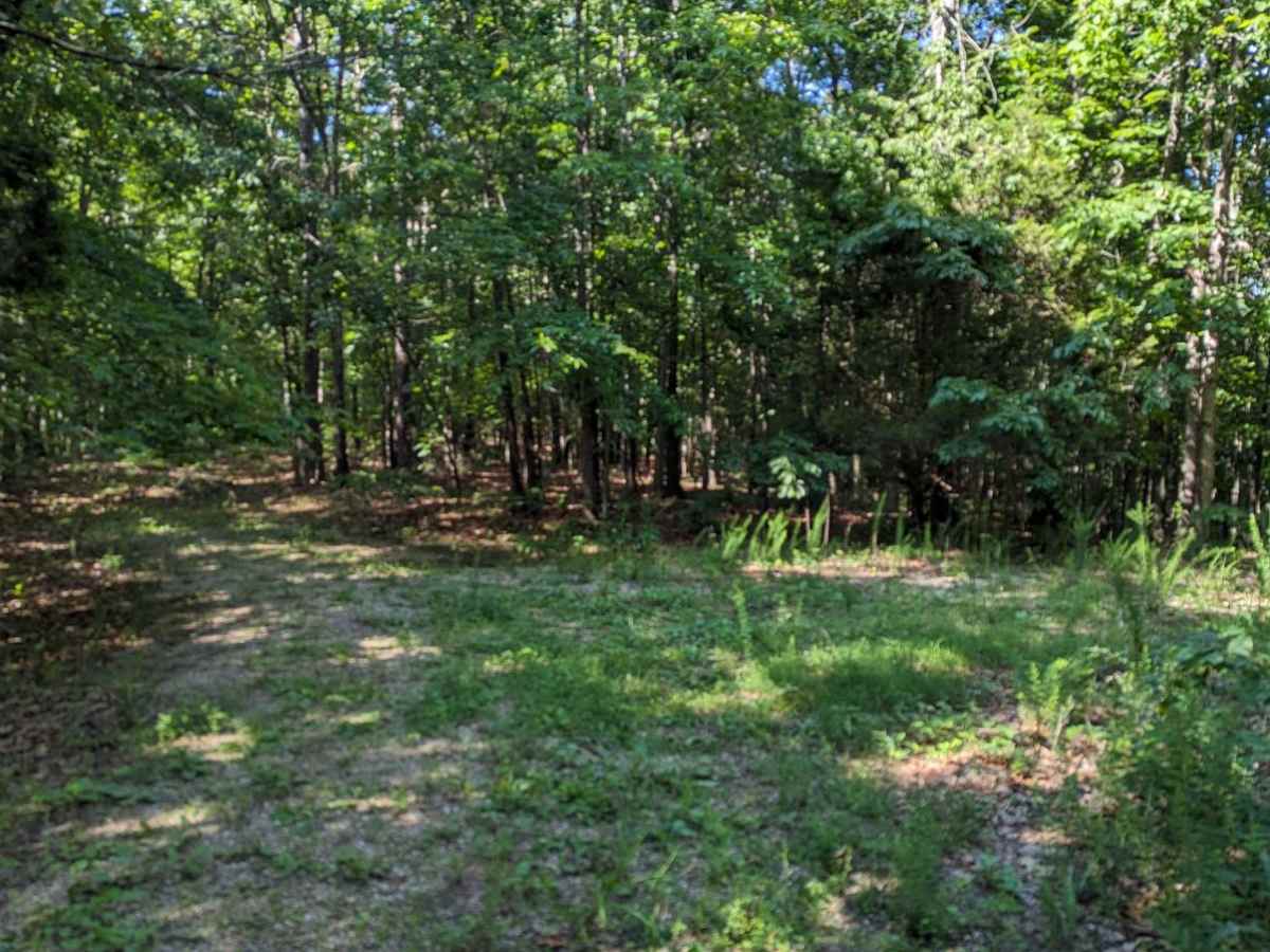 East Kelly Ridge trail photo