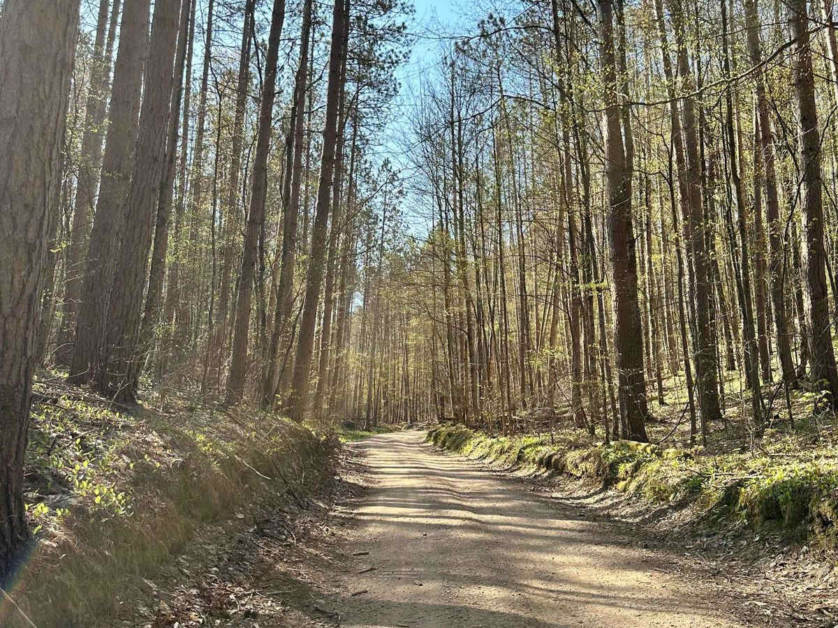 Cadillac Area ORV/OHV Scenic Ride - Part 11 trail photo