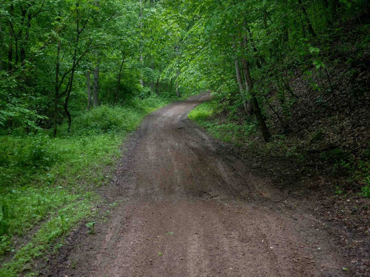 T23 photo 2