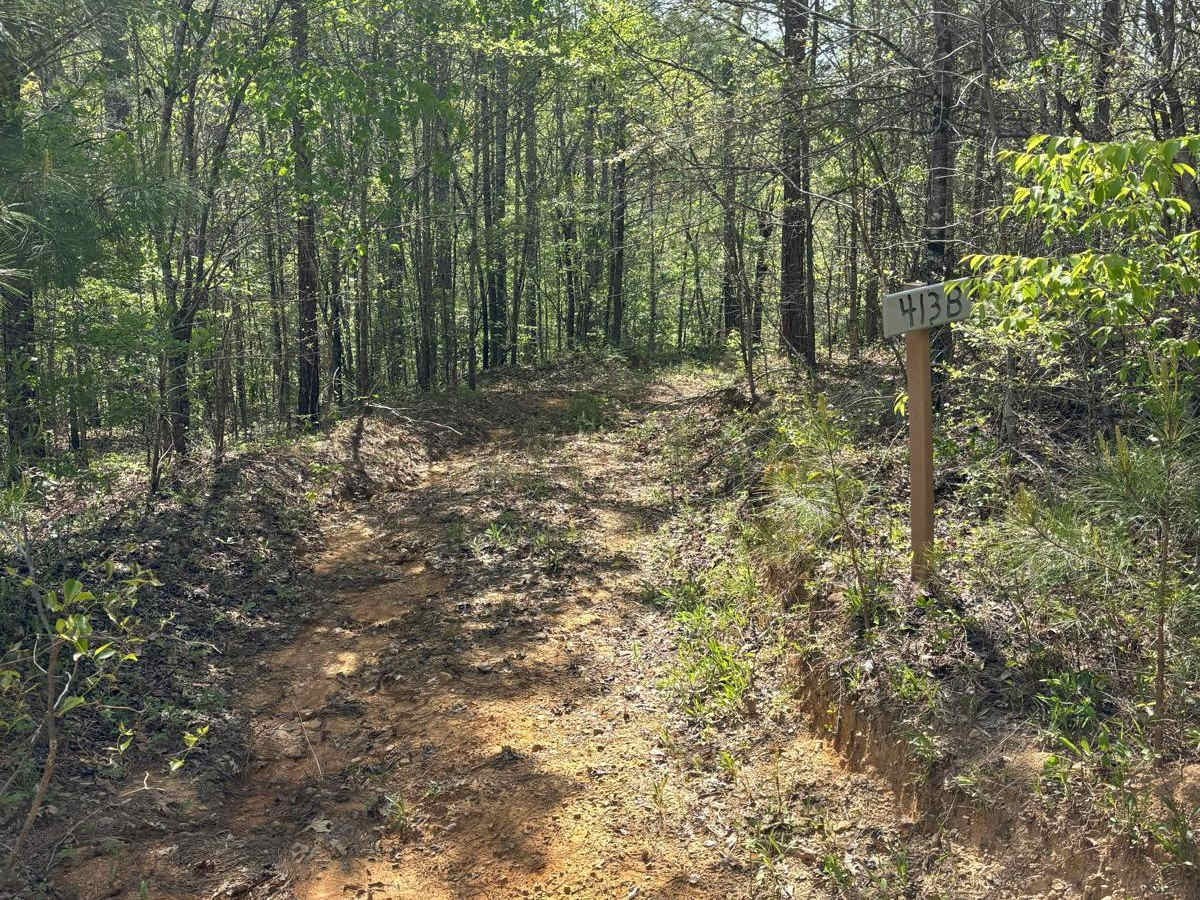 413B trail photo