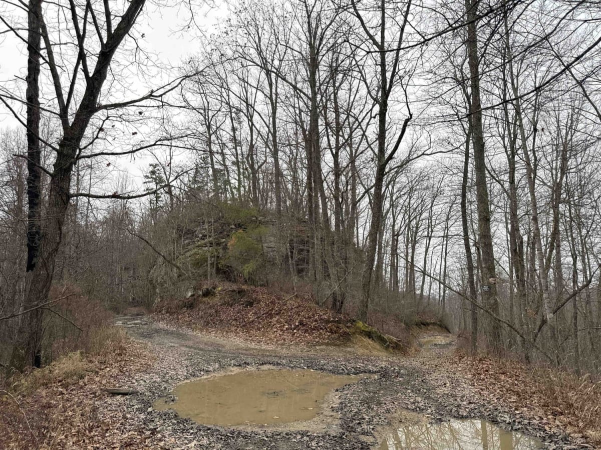 Sand Gap Road (FSR 731) photo 5