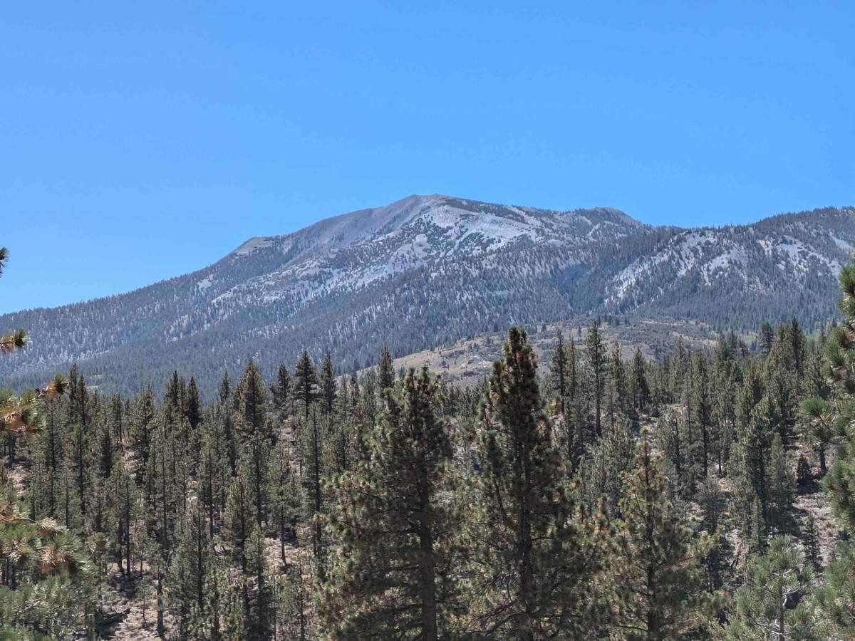 McGee Canyon Road photo 2