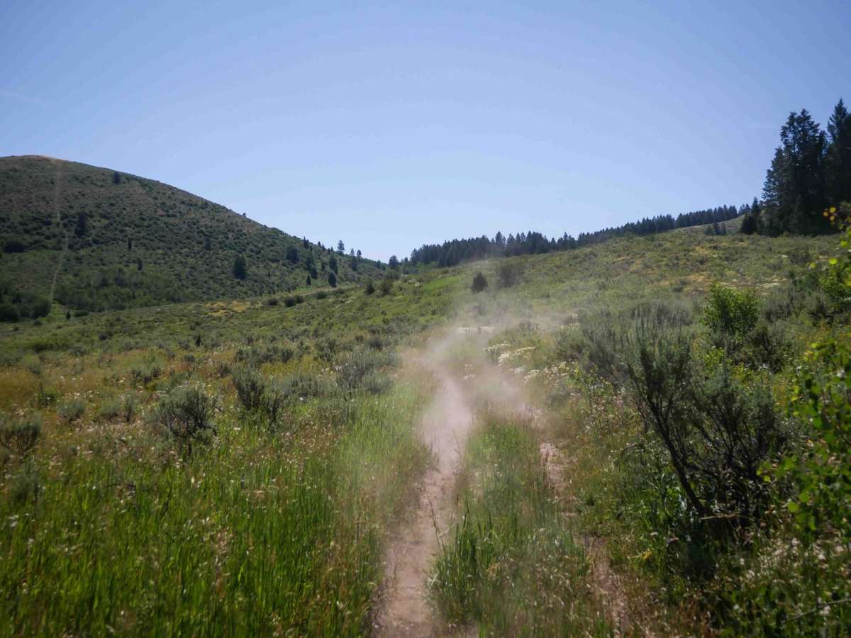 Trail Canyon #5254 photo 4