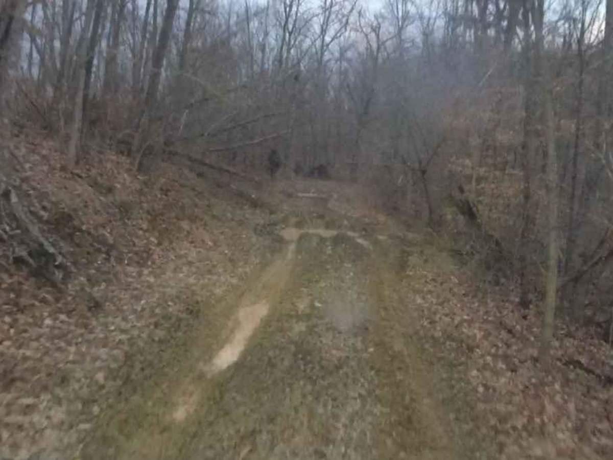 Turkey Leg Hill photo 2