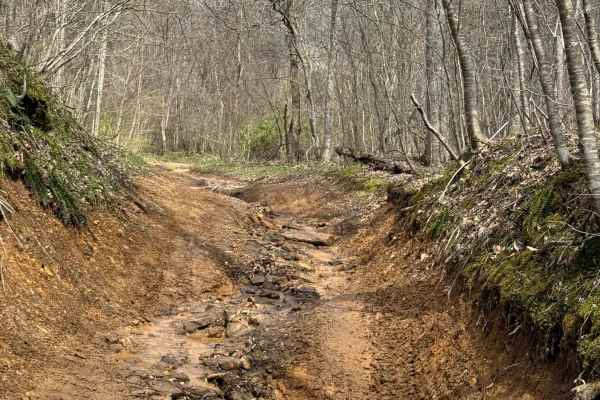 Trail 25