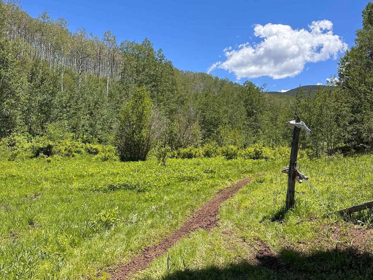 Green Gate Trail photo 5