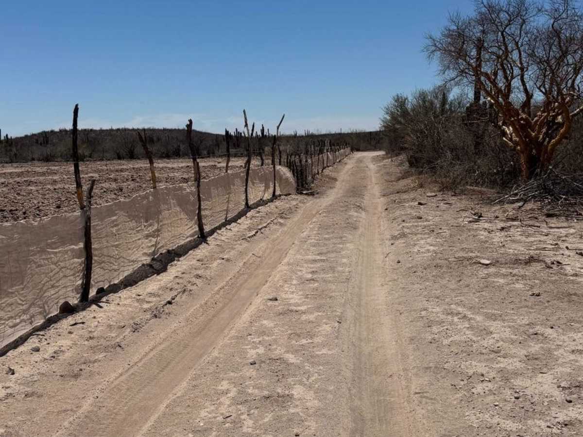 Rancho Golondrinas Crossover photo 2