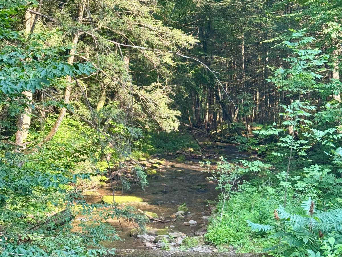Trout Run Road photo 5
