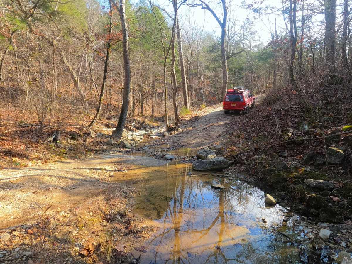 Fort Bald - FS 612 trail photo