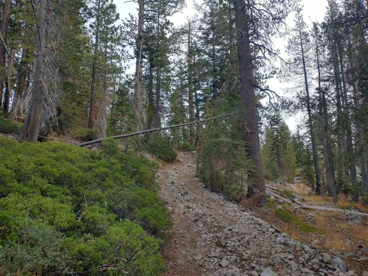 Barker Meadows OHV Trail photo 4