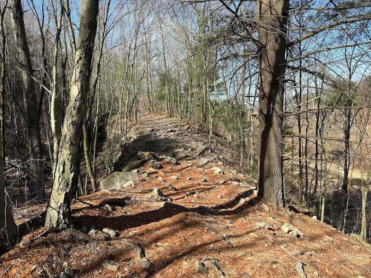 St. Keirns 20 trail photo