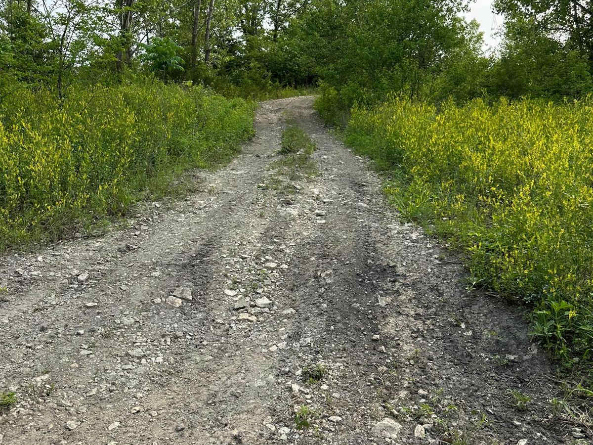 Green 33 trail photo