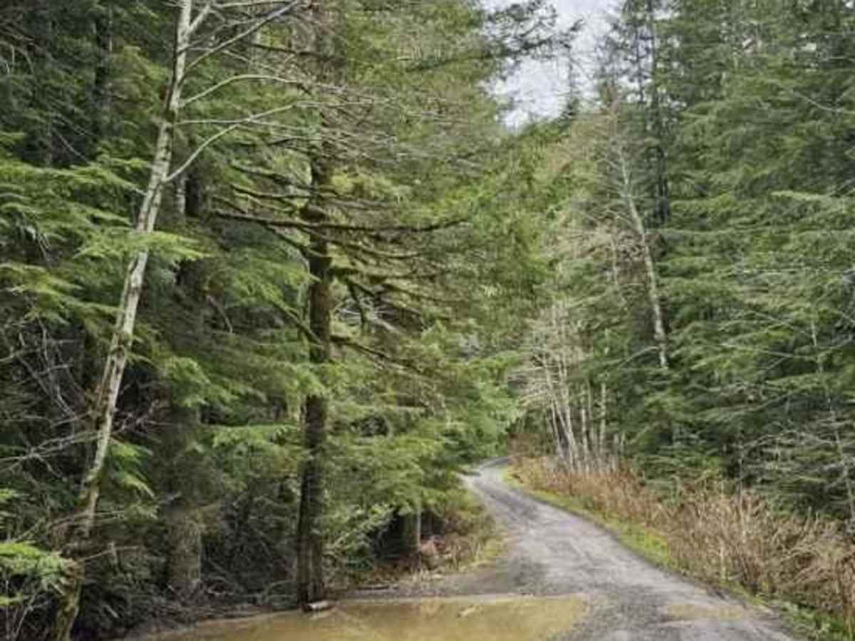 NF7720000 Overlook trail photo