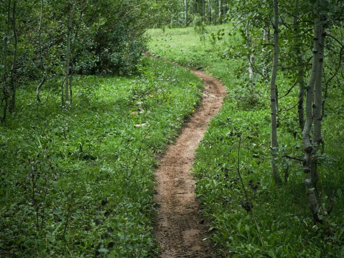 Chicken Creek Trail photo 5
