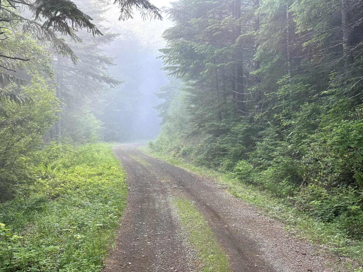 Church Creek Area Trail photo 5